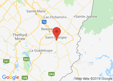 Google Map pour l'emplacement du concessionnaire